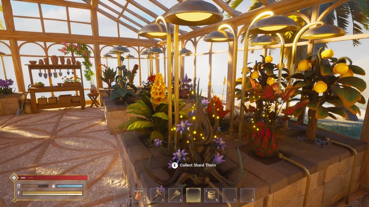 Fresh crops ready for harvest inside a greenhouse