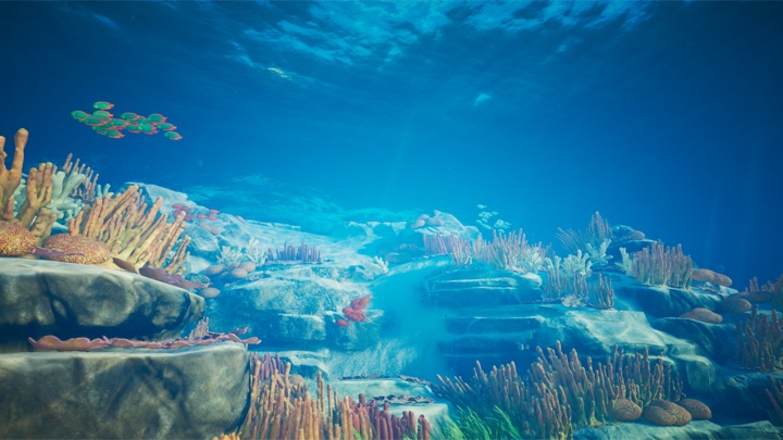 Sparkling shallows and coral reef water